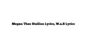  Megan Thee Stallion Lyrics, W.a.B Lyrics